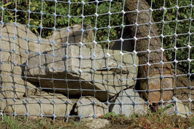 Filet de protection en acier galvanisé type 